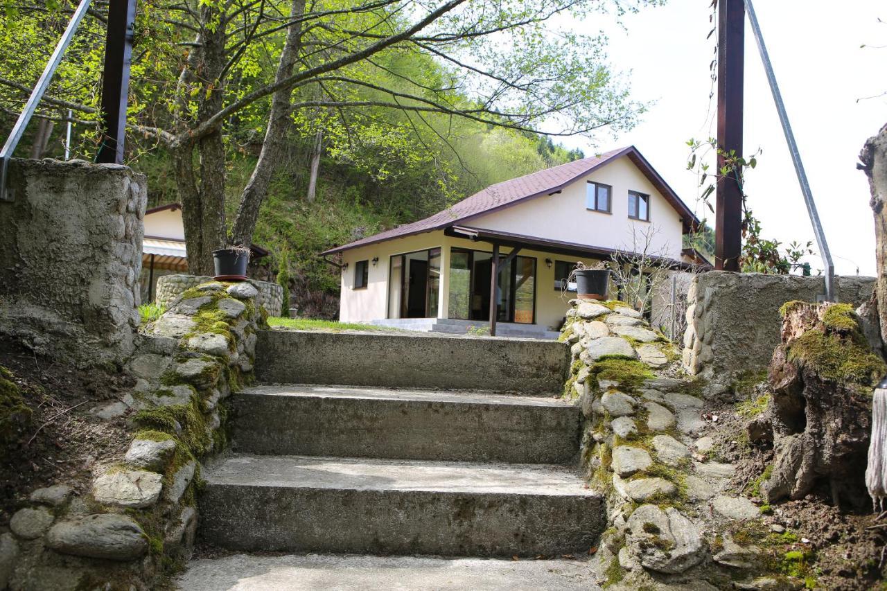 Pensiunea Tudor Breaza 외부 사진